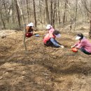 푸른솔 농장 이미지