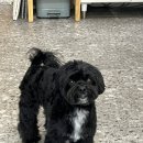 반자주 장산점 이미지