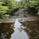 한라산둘레길 사려니숲길 이미지