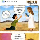 사행초