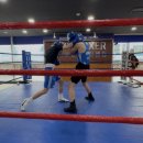 분당W복싱센터 이미지