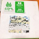 속편한 프리미엄 유환양배추즙으로 비린내 없이 위건강 지키기!