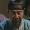 뿌리깊은 나무 이미지