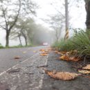 통창공원 이미지