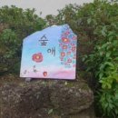 사려니몰