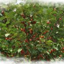 한덕농장 이미지