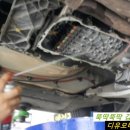 제일밋숀 이미지