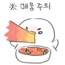 도마본가 이미지