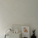 이쁘냥 고양이 미용실 이미지