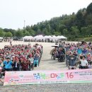 거북이네 이미지