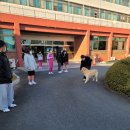 유일여자고등학교 이미지