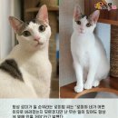 안녕뷰티