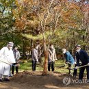 단풍나무펜션 이미지