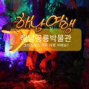 지구성인게임랜드 | 전남 크리스마스 해남공룡박물관 겨울여행 추천