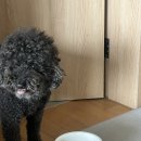 유진상사 이미지