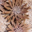 개편한세상 이미지