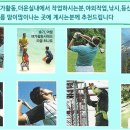 타올짱 이미지