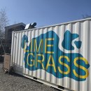 라임 | 용인 캠핑 불멍 할 수 있는 대형 베이커리 카페 라임그라스 방문후기