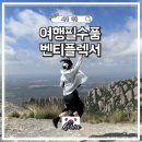 더바른약국 | 해외여행 필수품 벤티플렉서 바른다리 인솔 아치 깔창 내돈내산 후기