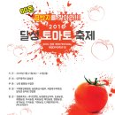 달성토마토축제 네이버블로그