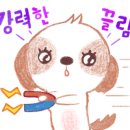 모아이스튜디오 이미지