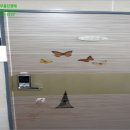 부산진구-18 이미지