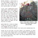 북한산 경찰산악구조대 -암벽암릉 사고사례(2) 이미지