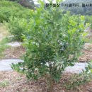 송삼농장 이미지