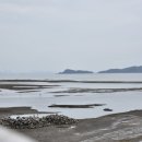 영흥면사무소 이미지