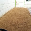 용전초등학교 병설유치원 이미지