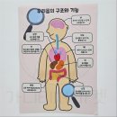 X-RAY, CT, MRA, MRI, 초음파 검사란? 이미지