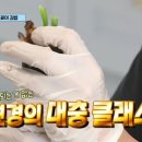 언니언니김밥 이미지