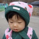 타이티 이미지