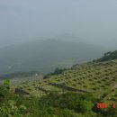 형재농장 이미지