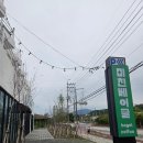 부산 기장 오션뷰카페 미친베이글 기장점