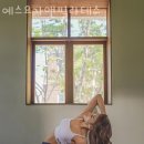 예스앤예스