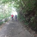 홍계마을 이미지