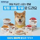 미음펫푸드 연합뉴스