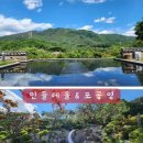 민들레울 이미지