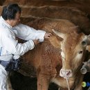 대구가축병원 이미지