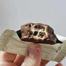 멍이사랑 | 우재일기 멍이랑 돌이랑 친구랑