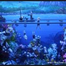 미로월드 이미지