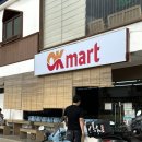 오케이마트 | 보홀 팡라오 오케이마트 방문 후기｜배달도 가능한 한인마트 장보기 정리