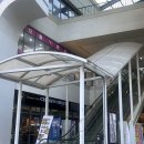 신복고가차도 아래 | 평택 소사벌 두피관리 추천 H.리셀 전후비교 솔직후기