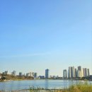 그늘막129 | 수원 광교호수공원 벚꽃 개화현황 수원벚꽃명소 추천 벚꽃스팟