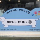메리해피쫑 이미지