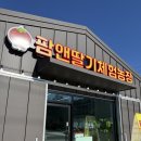 윤스팜 제3농장 | 아이와 함께 청주 딸기체험 초등학생 팜앤딸기 딸기농장 예약 가격 주차 내돈내산 솔직후기