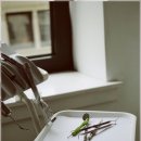 시지바름플란트치과의원 | 단단한 치아를 위한 효과적인 생활습관 이해하기