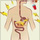 플랜:Body | 듀얼플랜 유산균 먹는 방법