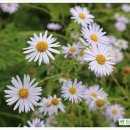 쌍둥이네농장 이미지